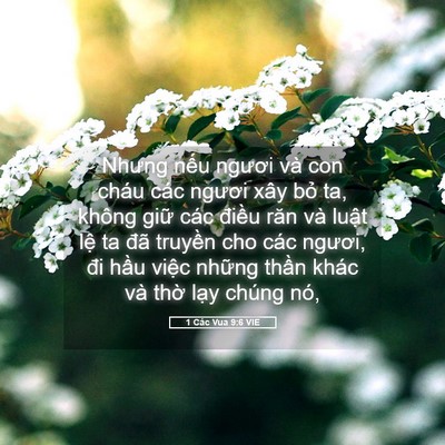 Picture 05 - 1 Các Vua 9:6 VIE - Nhưng nếu ngươi và con cháu các ngươi - Bible Verse Picture