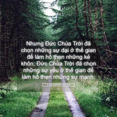 Picture 05 - 1 Cô-rinh-tô 1:27 VIE - Nhưng Đức Chúa Trời đã chọn những - Bible Verse Picture