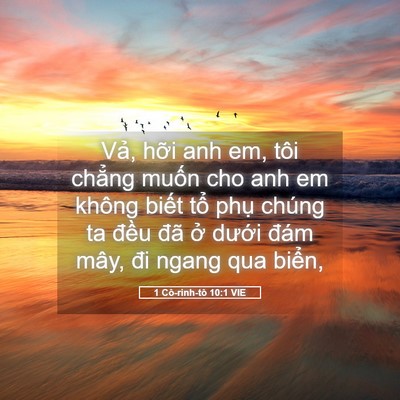 Picture 05 - 1 Cô-rinh-tô 10:1 VIE - Vả, hỡi anh em, tôi chẳng muốn cho anh - Bible Verse Picture
