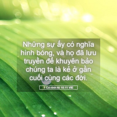 Picture 05 - 1 Cô-rinh-tô 10:11 VIE - Những sự ấy có nghĩa hình bóng, và - Bible Verse Picture