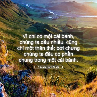 Picture 05 - 1 Cô-rinh-tô 10:17 VIE - Vì chỉ có một cái bánh, chúng ta dầu - Bible Verse Picture