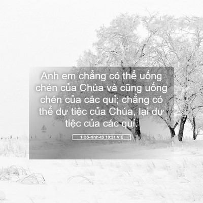 Picture 05 - 1 Cô-rinh-tô 10:21 VIE - Anh em chẳng có thể uống chén của Chúa - Bible Verse Picture
