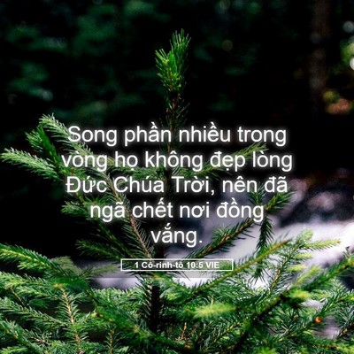 Picture 05 - 1 Cô-rinh-tô 10:5 VIE - Song phần nhiều trong vòng họ không - Bible Verse Picture
