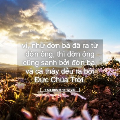 Picture 05 - 1 Cô-rinh-tô 11:12 VIE - vì, như đờn bà đã ra từ đờn ông, - Bible Verse Picture