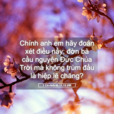 Picture 05 - 1 Cô-rinh-tô 11:13 VIE - Chính anh em hãy đoán xét điều nầy: - Bible Verse Picture