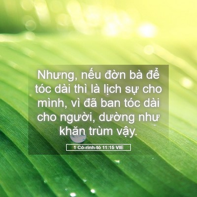 Picture 05 - 1 Cô-rinh-tô 11:15 VIE - Nhưng, nếu đờn bà để tóc dài thì là - Bible Verse Picture