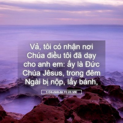 Picture 05 - 1 Cô-rinh-tô 11:23 VIE - Vả, tôi có nhận nơi Chúa điều tôi - Bible Verse Picture