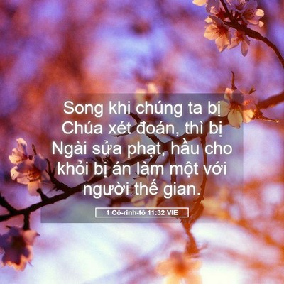 Picture 05 - 1 Cô-rinh-tô 11:32 VIE - Song khi chúng ta bị Chúa xét đoán, thì - Bible Verse Picture