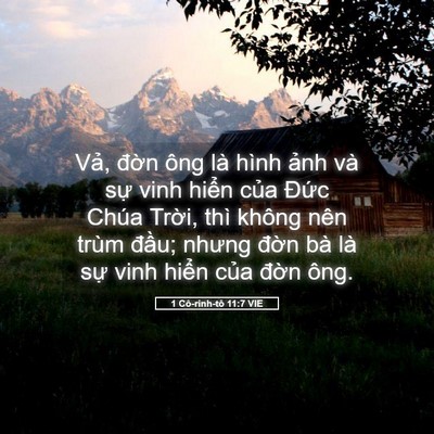 Picture 05 - 1 Cô-rinh-tô 11:7 VIE - Vả, đờn ông là hình ảnh và sự vinh - Bible Verse Picture
