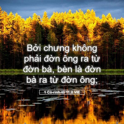 Picture 05 - 1 Cô-rinh-tô 11:8 VIE - Bởi chưng không phải đờn ông ra từ - Bible Verse Picture