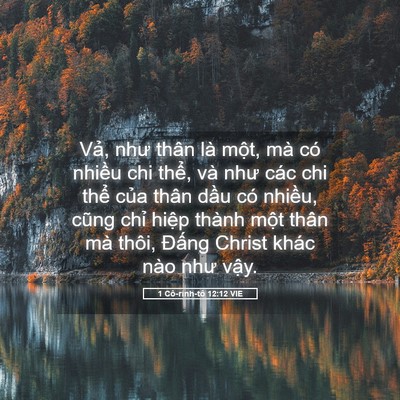Picture 05 - 1 Cô-rinh-tô 12:12 VIE - Vả, như thân là một, mà có nhiều chi - Bible Verse Picture