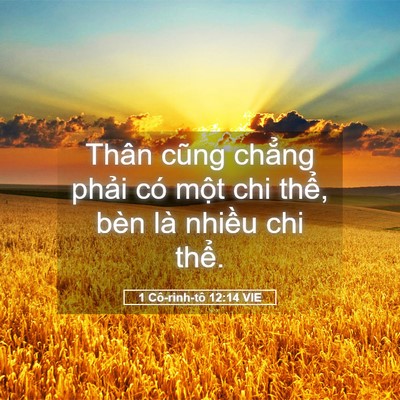 Picture 05 - 1 Cô-rinh-tô 12:14 VIE - Thân cũng chẳng phải có một chi thể, - Bible Verse Picture