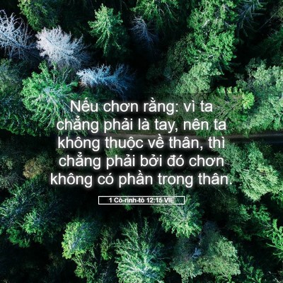 Picture 05 - 1 Cô-rinh-tô 12:15 VIE - Nếu chơn rằng: vì ta chẳng phải là - Bible Verse Picture