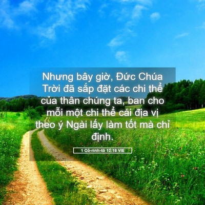 Picture 05 - 1 Cô-rinh-tô 12:18 VIE - Nhưng bây giờ, Đức Chúa Trời đã sắp - Bible Verse Picture