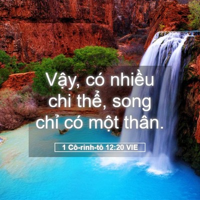 Picture 05 - 1 Cô-rinh-tô 12:20 VIE - Vậy, có nhiều chi thể, song chỉ có - Bible Verse Picture