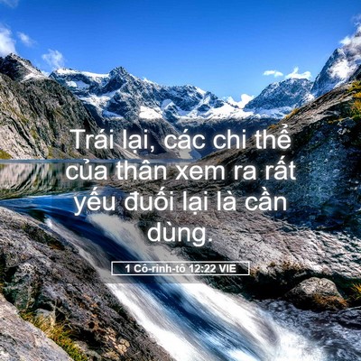 Picture 05 - 1 Cô-rinh-tô 12:22 VIE - Trái lại, các chi thể của thân xem ra - Bible Verse Picture