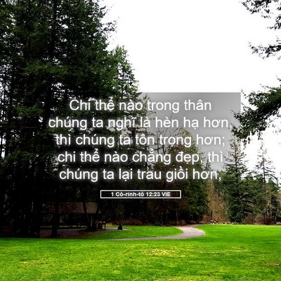 Picture 05 - 1 Cô-rinh-tô 12:23 VIE - Chi thể nào trong thân chúng ta nghĩ là - Bible Verse Picture