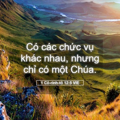Picture 05 - 1 Cô-rinh-tô 12:5 VIE - Có các chức vụ khác nhau, nhưng chỉ có - Bible Verse Picture