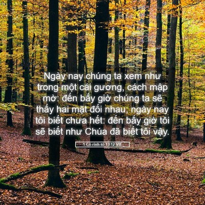 Picture 05 - 1 Cô-rinh-tô 13:12 VIE - Ngày nay chúng ta xem như trong một cái - Bible Verse Picture