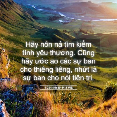 Picture 05 - 1 Cô-rinh-tô 14:1 VIE - Hãy nôn nả tìm kiếm tình yêu thương. - Bible Verse Picture