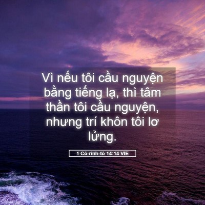 Picture 05 - 1 Cô-rinh-tô 14:14 VIE - Vì nếu tôi cầu nguyện bằng tiếng - Bible Verse Picture
