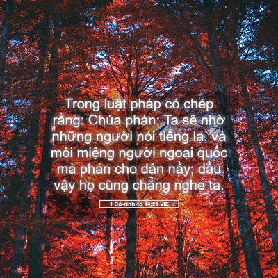 Picture 05 - 1 Cô-rinh-tô 14:21 VIE - Trong luật pháp có chép rằng: Chúa phán: - Bible Verse Picture