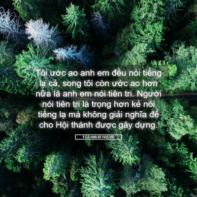 Picture 05 - 1 Cô-rinh-tô 14:5 VIE - Tôi ước ao anh em đều nói tiếng lạ - Bible Verse Picture