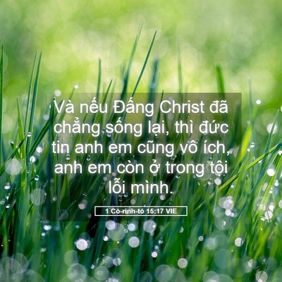 Picture 05 - 1 Cô-rinh-tô 15:17 VIE - Và nếu Đấng Christ đã chẳng sống - Bible Verse Picture
