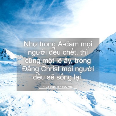 Picture 05 - 1 Cô-rinh-tô 15:22 VIE - Như trong A-đam mọi người đều chết, - Bible Verse Picture