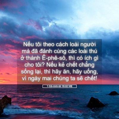 Picture 05 - 1 Cô-rinh-tô 15:32 VIE - Nếu tôi theo cách loài người mà đã - Bible Verse Picture