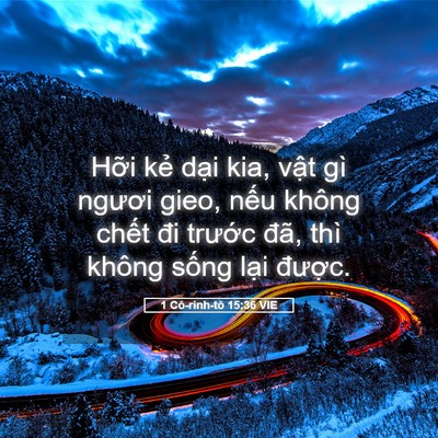 Picture 05 - 1 Cô-rinh-tô 15:36 VIE - Hỡi kẻ dại kia, vật gì ngươi gieo, - Bible Verse Picture