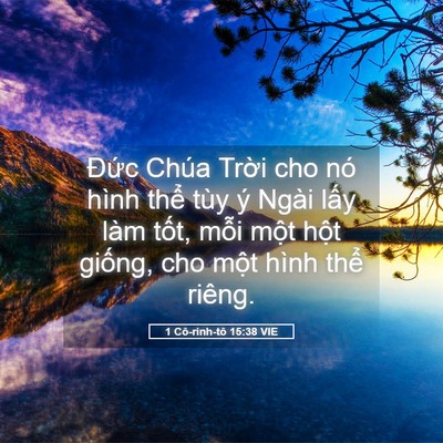Picture 05 - 1 Cô-rinh-tô 15:38 VIE - Đức Chúa Trời cho nó hình thể tùy ý - Bible Verse Picture