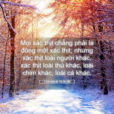 Picture 05 - 1 Cô-rinh-tô 15:39 VIE - Mọi xác thịt chẳng phải là đồng - Bible Verse Picture