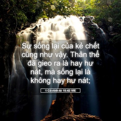 Picture 05 - 1 Cô-rinh-tô 15:42 VIE - Sự sống lại của kẻ chết cũng như - Bible Verse Picture