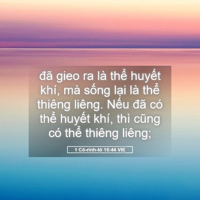 Picture 05 - 1 Cô-rinh-tô 15:44 VIE - đã gieo ra là thể huyết khí, mà sống - Bible Verse Picture