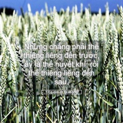 Picture 05 - 1 Cô-rinh-tô 15:46 VIE - Nhưng chẳng phải thể thiêng liêng đến - Bible Verse Picture