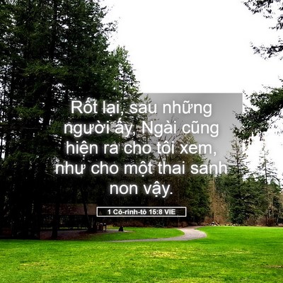 Picture 05 - 1 Cô-rinh-tô 15:8 VIE - Rốt lại, sau những người ấy, Ngài - Bible Verse Picture