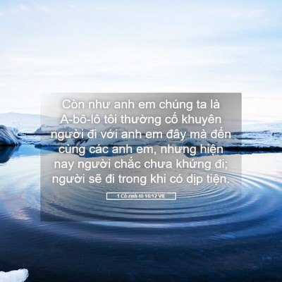 Picture 05 - 1 Cô-rinh-tô 16:12 VIE - Còn như anh em chúng ta là A-bô-lô tôi - Bible Verse Picture