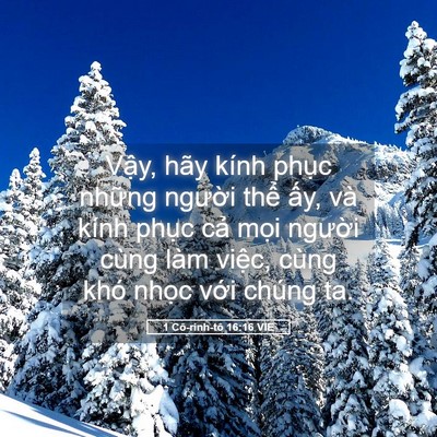 Picture 05 - 1 Cô-rinh-tô 16:16 VIE - Vậy, hãy kính phục những người thể - Bible Verse Picture