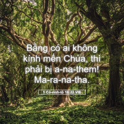 Picture 05 - 1 Cô-rinh-tô 16:22 VIE - Bằng có ai không kính mến Chúa, thì - Bible Verse Picture