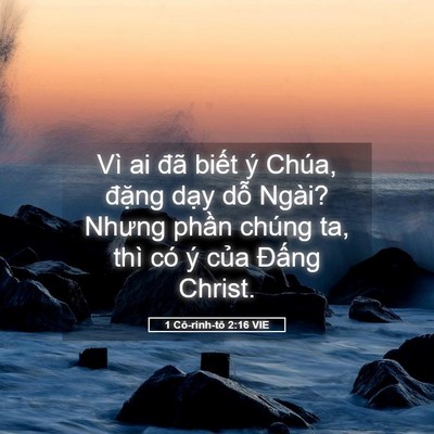 Picture 05 - 1 Cô-rinh-tô 2:16 VIE - Vì ai đã biết ý Chúa, đặng dạy dỗ - Bible Verse Picture