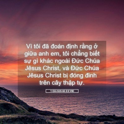 Picture 05 - 1 Cô-rinh-tô 2:2 VIE - Vì tôi đã đoán định rằng ở giữa - Bible Verse Picture