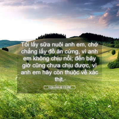 Picture 05 - 1 Cô-rinh-tô 3:2 VIE - Tôi lấy sữa nuôi anh em, chớ chẳng - Bible Verse Picture