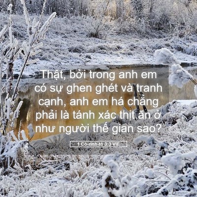 Picture 05 - 1 Cô-rinh-tô 3:3 VIE - Thật, bởi trong anh em có sự ghen ghét - Bible Verse Picture