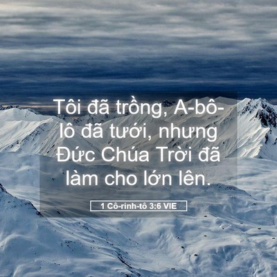 Picture 05 - 1 Cô-rinh-tô 3:6 VIE - Tôi đã trồng, A-bô-lô đã tưới, nhưng - Bible Verse Picture