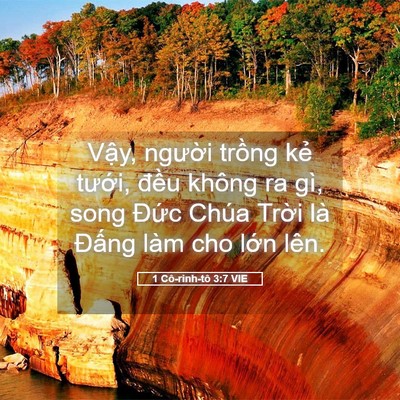 Picture 05 - 1 Cô-rinh-tô 3:7 VIE - Vậy, người trồng kẻ tưới, đều - Bible Verse Picture