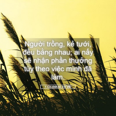 Picture 05 - 1 Cô-rinh-tô 3:8 VIE - Người trồng, kẻ tưới, đều bằng - Bible Verse Picture