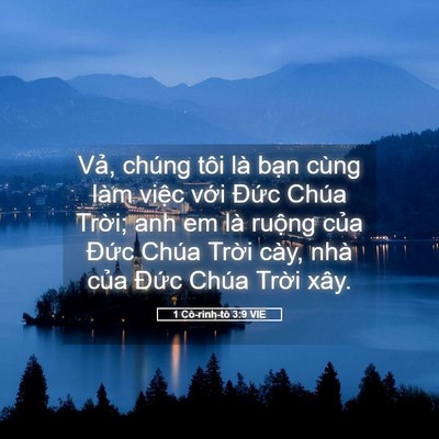 Picture 05 - 1 Cô-rinh-tô 3:9 VIE - Vả, chúng tôi là bạn cùng làm việc - Bible Verse Picture