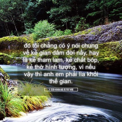Picture 05 - 1 Cô-rinh-tô 5:10 VIE - đó tôi chẳng có ý nói chung về kẻ - Bible Verse Picture