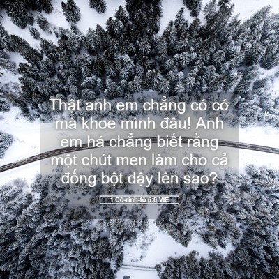 Picture 05 - 1 Cô-rinh-tô 5:6 VIE - Thật anh em chẳng có cớ mà khoe mình - Bible Verse Picture